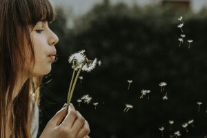 blowing dandelion